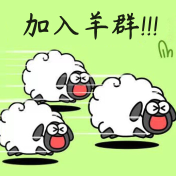 养了个羊