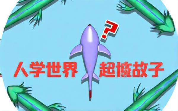 吃个鱼