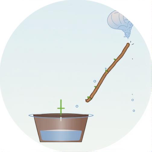 拯救植物