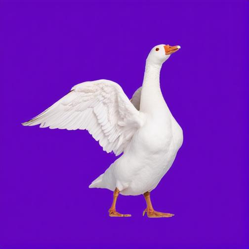 消除大鹅