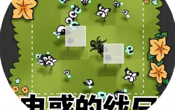 蛊惑的幼虫
