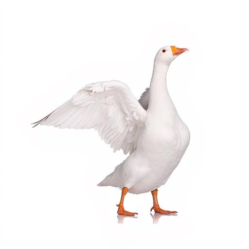 消了个鹅