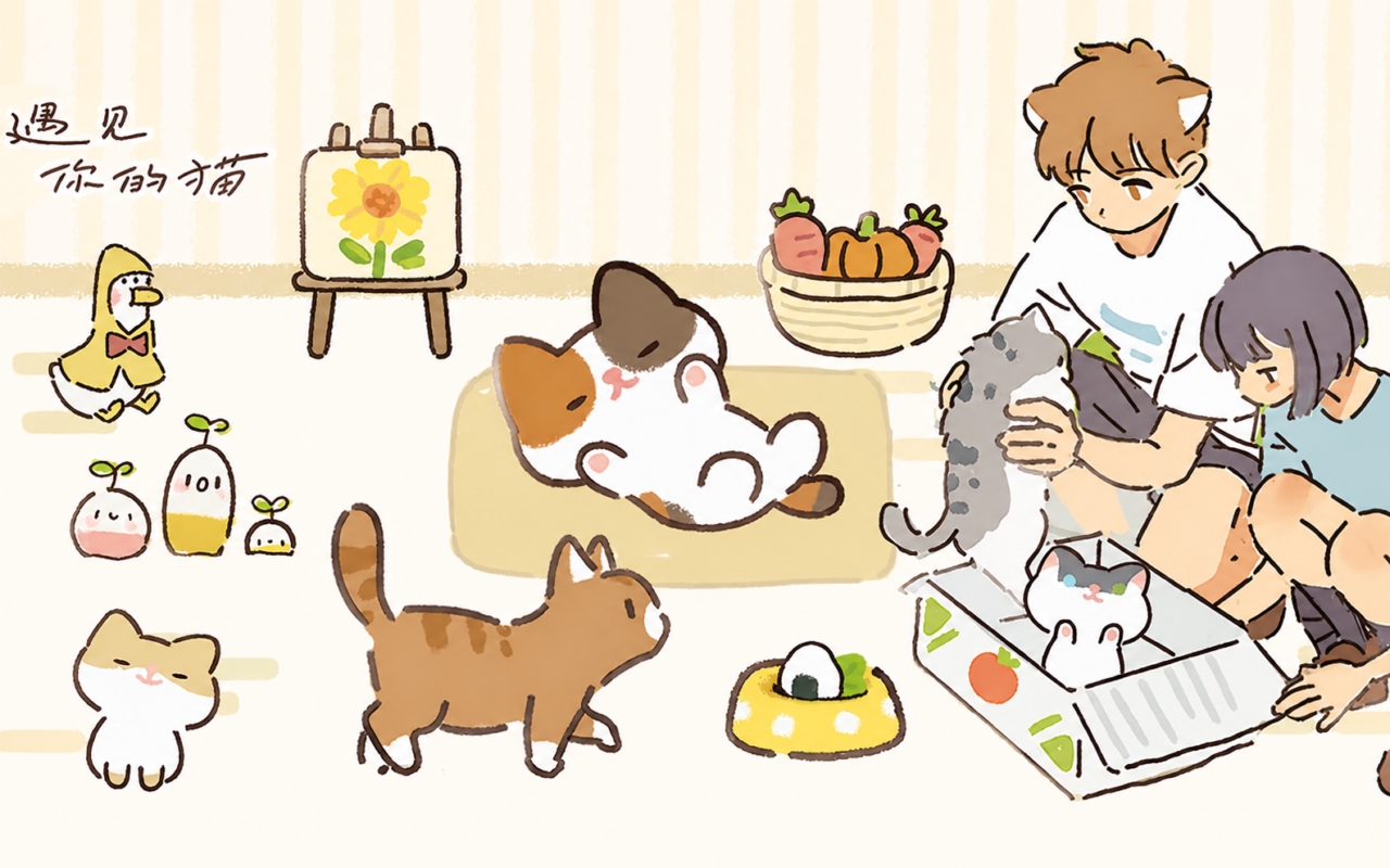 遇见你的猫