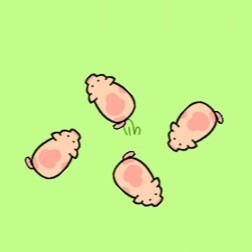 猪了个猪11
