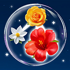 鲜花收纳