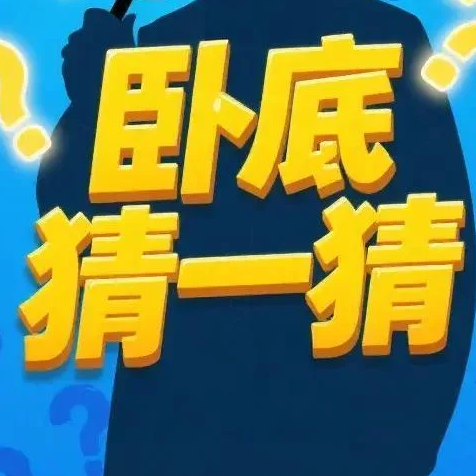 卧底猜一猜