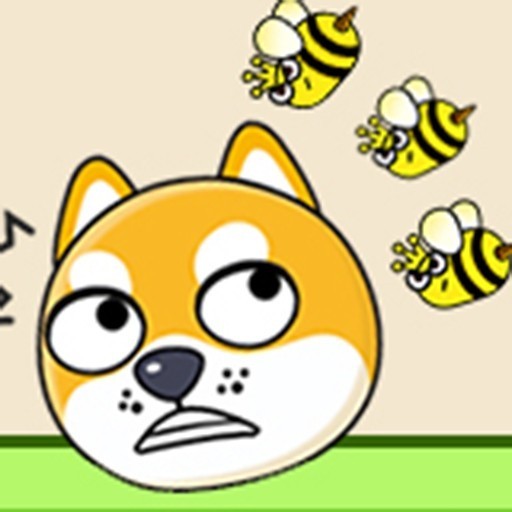 蜜蜂狗