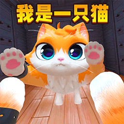 快乐的猫咪