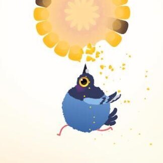 疯狂的鸽子4