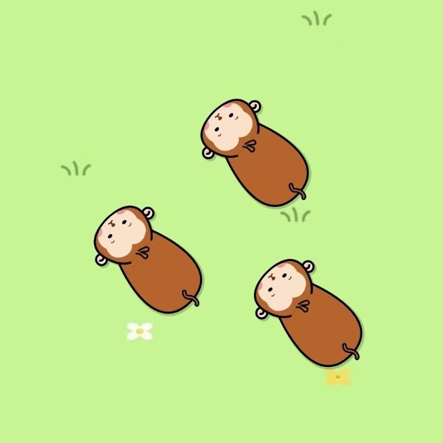 宠物挪对对