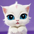 宠物猫咪模拟