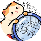 喵去哪了