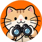猫猫躲哪了