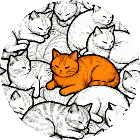 全民寻找猫猫2