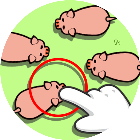 方块农场
