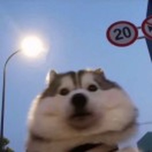 Vaxel