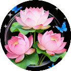 消了朵花