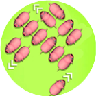 再闯一关