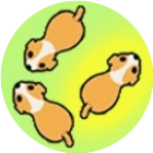 还能这样玩