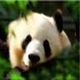 巨好玩的小游戏
