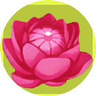 指上花开