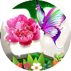花花消消消乐
