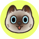 上菜猫