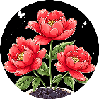 超级鲜花馆