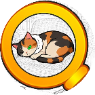 猫去哪了