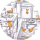 寻找猫咪游戏2