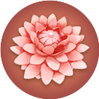 花朵消除