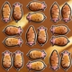 挪猪猪15