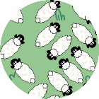 菜了个菜抓羊游戏