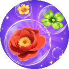 大师级操作