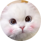离开前任