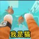 橘猫大冒险