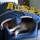 荆州拉人
