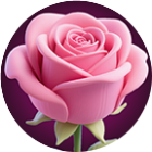果汁缤纷乐